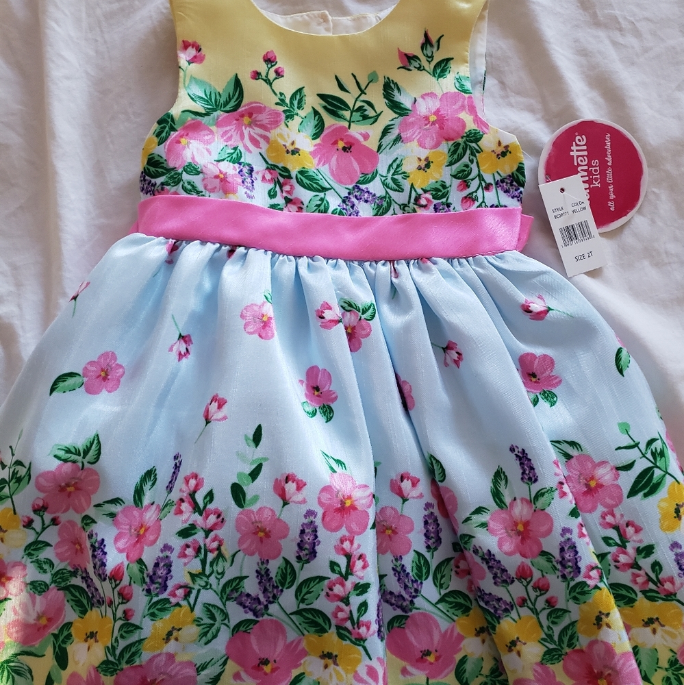 Nanette NWT floral dress size 2